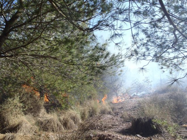 Sofocado un incendio de pinada y matorral bajo en San Julián - 2, Foto 2