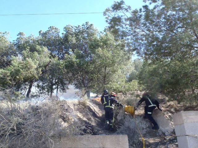 Sofocado un incendio de pinada y matorral bajo en San Julián - 3, Foto 3