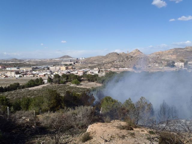 Sofocado un incendio de pinada y matorral bajo en San Julián - 5, Foto 5