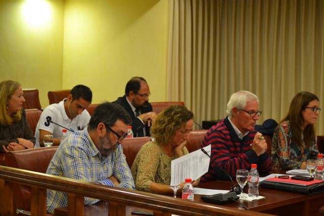 Ahora sí admite el PP la necesidad de implantar el pago fraccionado de impuestos - 1, Foto 1