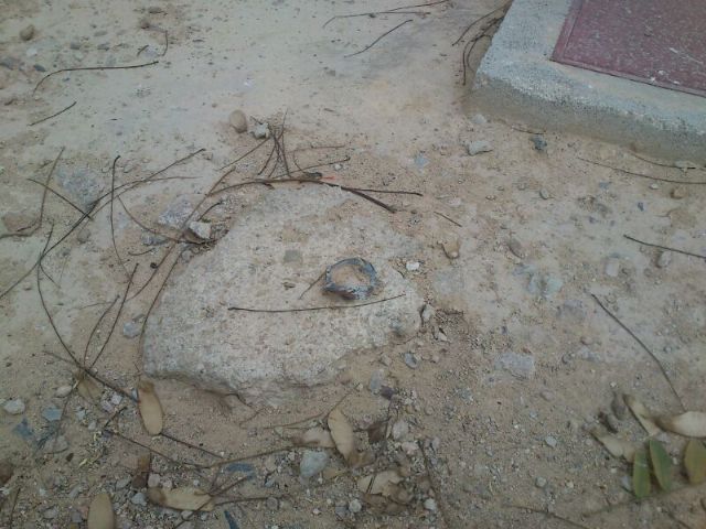 El Grupo Socialista exige al PP que subsane las deficiencias en un jardín de Ronda Sur - 1, Foto 1