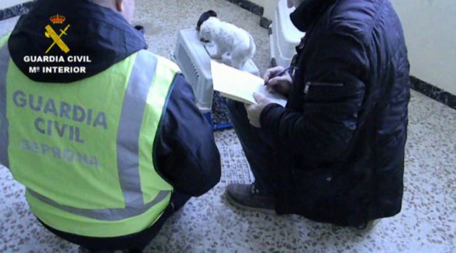 El SEPRONA de la Guardia Civil detuvo o imputó a cerca de 2.000 personas por delitos contra el Medio Ambiente - 2, Foto 2