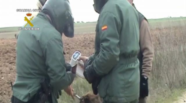 El SEPRONA de la Guardia Civil detuvo o imputó a cerca de 2.000 personas por delitos contra el Medio Ambiente - 4, Foto 4