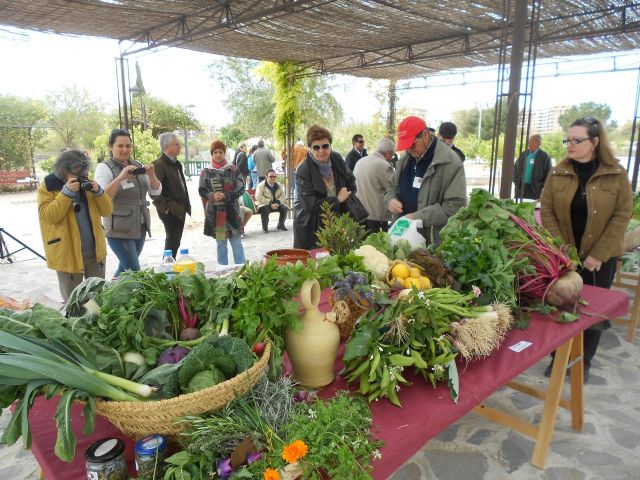 Medio Ambiente impulsará los Huertos de Ocio ofreciendo más parcelas para ser cultivadas - 2, Foto 2