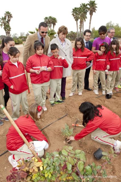 Los pequeños del Miralmonte reforestan el Parque de los Exploradores - 2, Foto 2