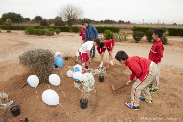 Los pequeños del Miralmonte reforestan el Parque de los Exploradores - 5, Foto 5