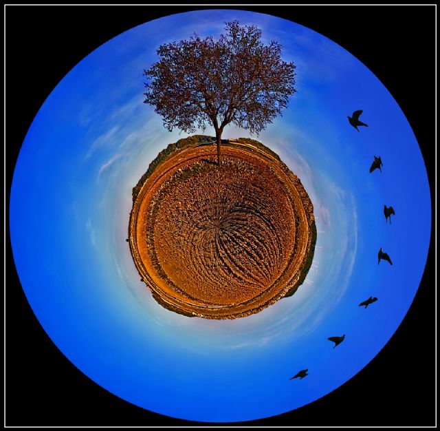 El yeclano José Ángel Palao nominado como finalista al I Concurso Internacional de Arte Contemporáneo de Génova - 1, Foto 1