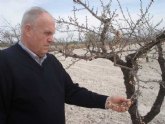 Agricultura realiza un informe sobre los daños en cultivos de secano por la ausencia de lluvia
