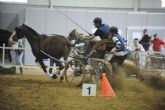 Equimur 2014 - Salón internacional de caballos de razas puras