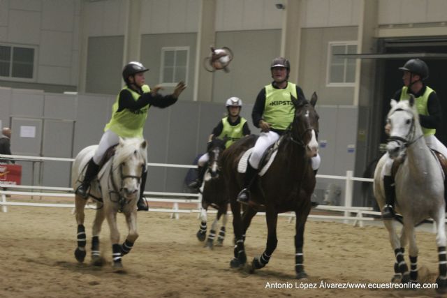 EQUIMUR 2014 - 1, Foto 1