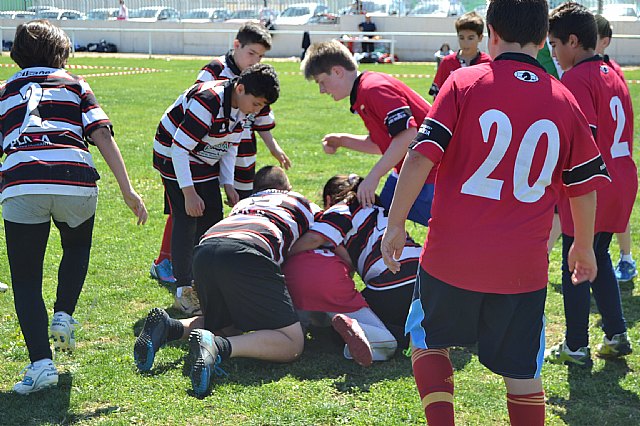 Gran participacin del Club de Rugby de Totana en el Campeonato de Escuelas de Rugby - 46