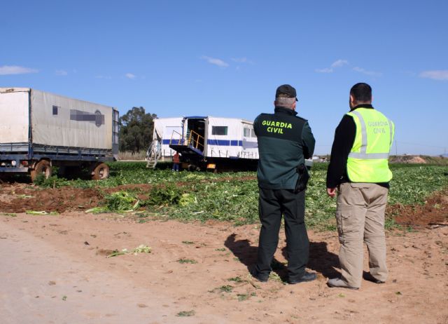 La Guardia Civil detiene a 28 personas por robos en fincas y granjas del Campo de Cartagena - 1, Foto 1