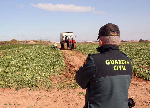 La Guardia Civil detiene a 28 personas por robos en fincas y granjas del Campo de Cartagena - 2, Foto 2