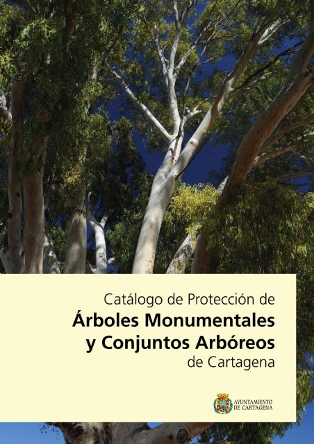 Los árboles más singulares de Cartagena se recopilan en un catálogo - 1, Foto 1