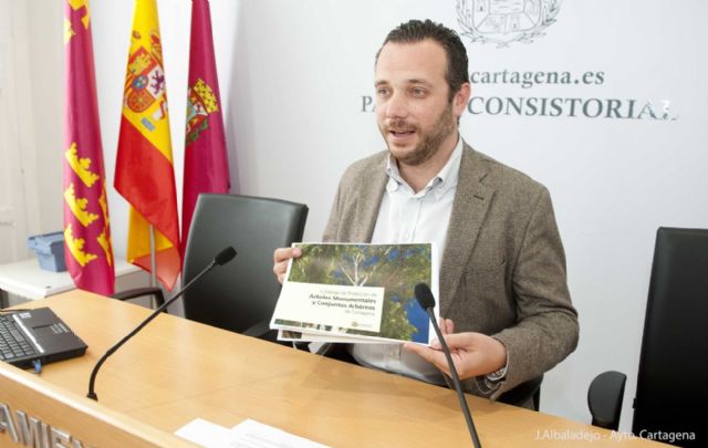 Los árboles más singulares de Cartagena se recopilan en un catálogo - 4, Foto 4