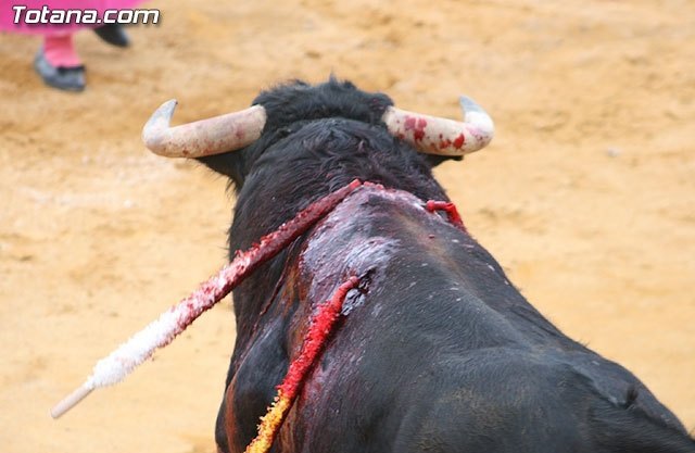 El PCE de Murcia pide a la AECC que no organice más corridas de toros - 1, Foto 1