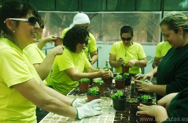 El Gobierno Regional y el Ayuntamiento ofrecen a 15 desempleados de la localidad una experiencia laboral retribuida con el programa AgroSostenible - 4, Foto 4