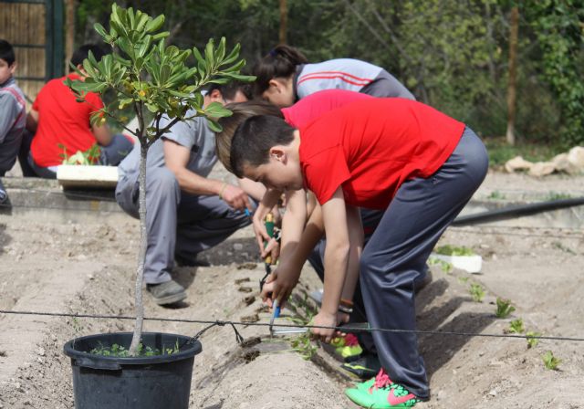 La Concejalía de Medio Ambiente crea un Huerto Escolar en el Vivero de las Fuentes del Marqués - 2, Foto 2