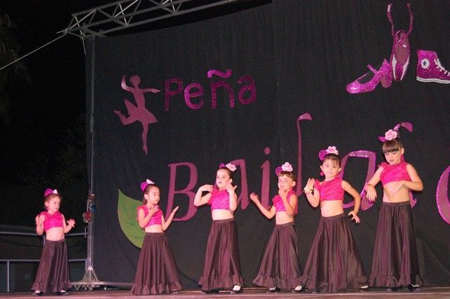 El baile más solidario exhibe su arte en Alguazas - 4, Foto 4