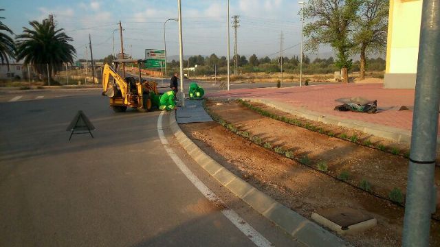 Jardines ultima los trabajos de ajardinamiento de la rotonda de San Agustín - 2, Foto 2