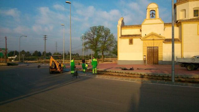Jardines ultima los trabajos de ajardinamiento de la rotonda de San Agustín - 3, Foto 3