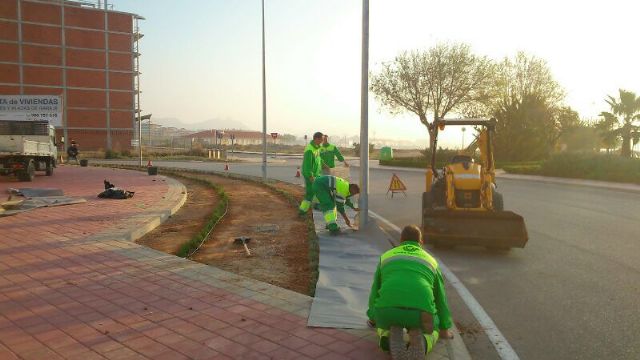 Jardines ultima los trabajos de ajardinamiento de la rotonda de San Agustín - 4, Foto 4