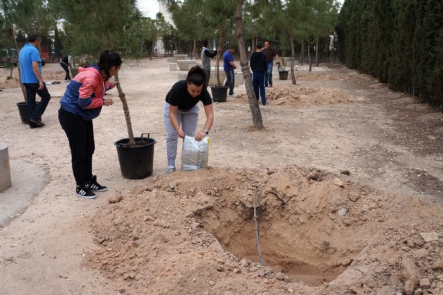 Alumnos del IES Salvador Sandoval torreño participan en una plantación de árbolado - 2, Foto 2