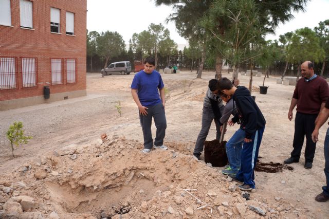 Alumnos del IES Salvador Sandoval torreño participan en una plantación de árbolado - 4, Foto 4
