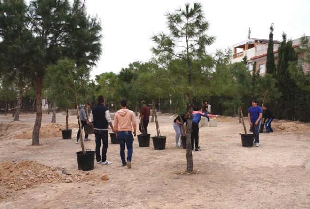 Alumnos del IES Salvador Sandoval torreño participan en una plantación de árbolado - 5, Foto 5