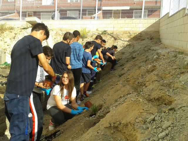 El Ayuntamiento de Molina de Segura colabora con el CEIP Maestro Francisco Martínez Bernal en su Semana Cultural 2014 dedicada al huerto escolar - 2, Foto 2