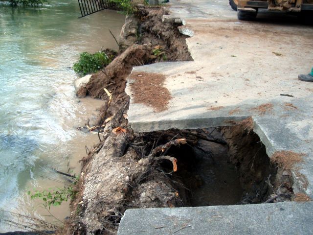Se retiran los árboles caídos al río en el Santuario de Ntra. Sra. de la Esperanza - 2, Foto 2