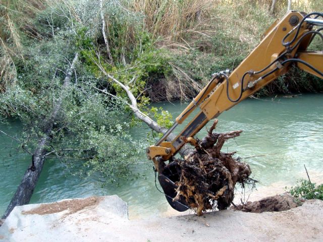 Se retiran los árboles caídos al río en el Santuario de Ntra. Sra. de la Esperanza - 3, Foto 3