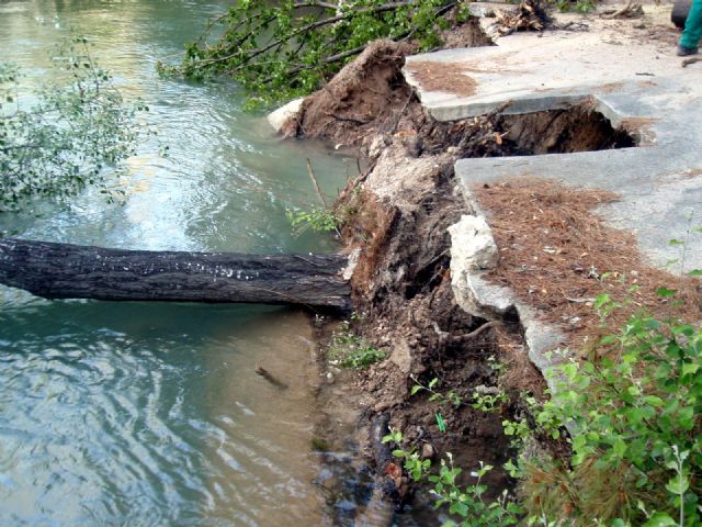 Se retiran los árboles caídos al río en el Santuario de Ntra. Sra. de la Esperanza - 4, Foto 4
