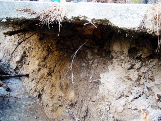 Se retiran los árboles caídos al río en el Santuario de Ntra. Sra. de la Esperanza - 5, Foto 5