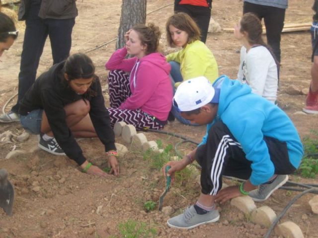 Los chavales de Juventud en Acción vienen a Cartagena de convivencia - 3, Foto 3