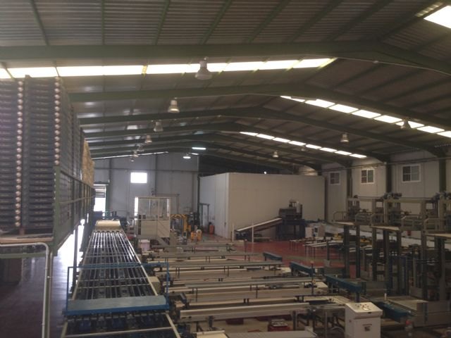 Agricultura destina 132.000 euros de ayuda comunitaria a la ampliación y mejora de instalaciones agrícolas en Ceutí - 1, Foto 1