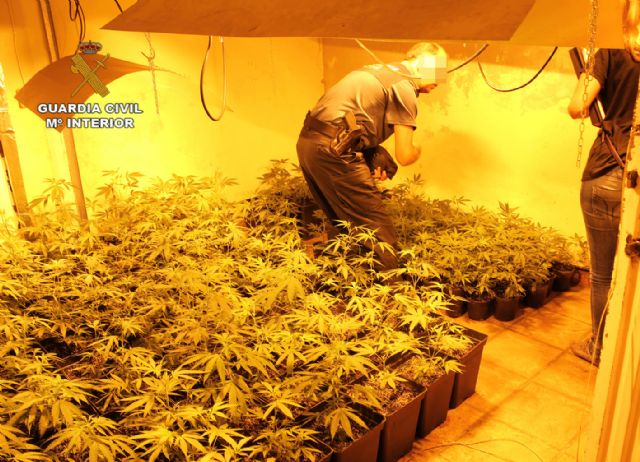 La Guardia Civil realiza 162 arrestos por cultivo y tráfico de marihuana en la Región durante 2013, Foto 8
