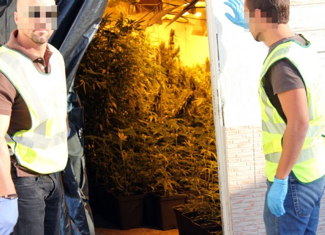 La Guardia Civil realiza 162 arrestos por cultivo y tráfico de marihuana en la Región durante 2013, Foto 9
