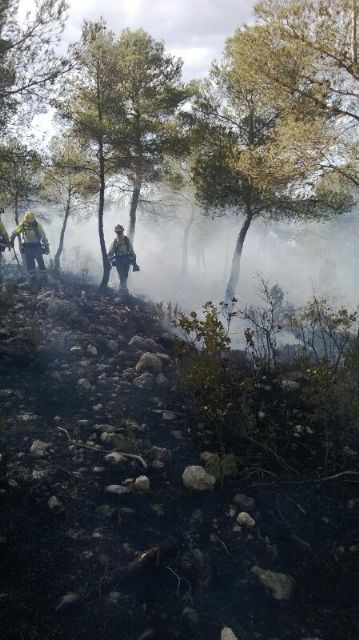 Voluntarios de Protección Civil colaboran en las labores de extinción del incendio que ha arrasado dos hectáreas de monte en la Sierra de la Tercia, Foto 2