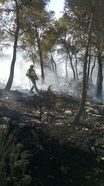 Voluntarios de Protección Civil colaboran en las labores de extinción del incendio que ha arrasado dos hectáreas de monte en la Sierra de la Tercia - 5, Foto 5