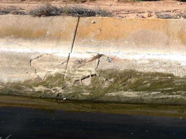 La CHS repara el cauce del Canal del Campo de Cartagena para reducir las pérdidas de agua - 1, Foto 1