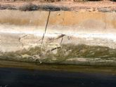 La CHS repara el cauce del Canal del Campo de Cartagena para reducir las pérdidas de agua