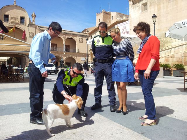 El Ayuntamiento mejora sus recursos para optimizar la campaña de concienciación para la tenencia de mascotas - 2, Foto 2