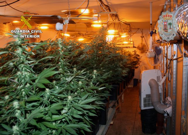 Desmantelado un invernadero clandestino de marihuana en Puerto Lumbreras - 1, Foto 1