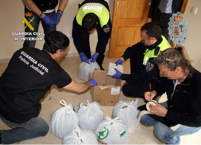 Desmantelado un invernadero clandestino de marihuana en Puerto Lumbreras - 4, Foto 4