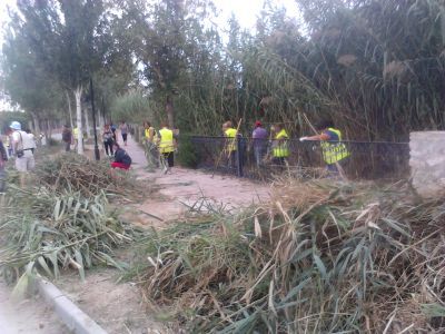Saorín: Disminuye a 211 los desempleados que trabajarán en Cieza en los Consejos Comarcales de Empleo - 1, Foto 1
