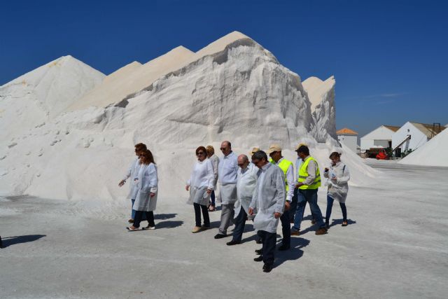 La Comisión de Industria visita el Parque Regional de las Salinas de San Pedro del Pinatar - 2, Foto 2