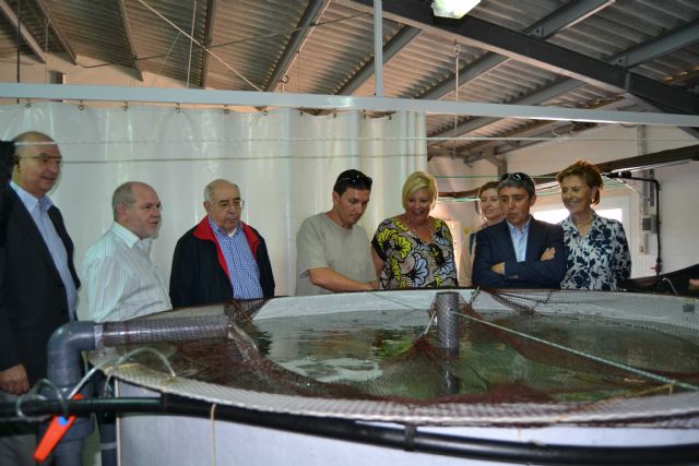 La Comisión de Industria visita el Parque Regional de las Salinas de San Pedro del Pinatar - 5, Foto 5