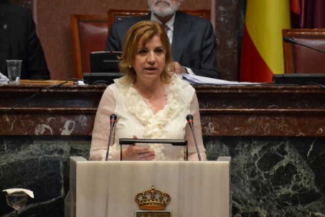 El PP solicita la comparecencia de Catalina Lorenzo para informar sobre la aplicación de la Ley de Dependencia - 1, Foto 1