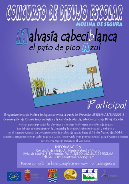 El Ayuntamiento de Molina de Segura convoca el concurso de dibujo escolar La malvasía cabeciblanca: el pato del pico azul - 1, Foto 1